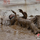 Image for article titled China's Personal Bodyguard Training Seems Ridiculously Intense